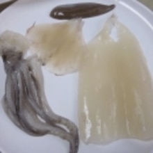 函館の活イカ 肝醤油で戴く イカ刺し レシピ 作り方 By Startrek 楽天レシピ 函館の活イカ 肝醤油で戴く イカ刺し レシピ 作り方 By Startrek 楽天レシピ